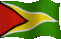 Guyana flag.  We carry many Guyanese food and other Guyaneese prodducts.