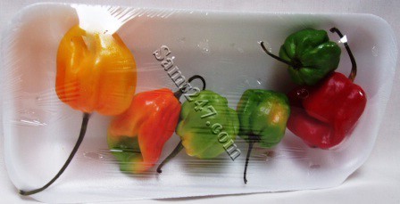FRESH HOT PEPPERS 2 OZ. 

FRESH HOT PEPPERS 2 OZ.: available at Sam's Caribbean Marketplace, the Caribbean Superstore for the widest variety of Caribbean food, CDs, DVDs, and Jamaican Black Castor Oil (JBCO). 