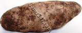 WHITE YAM (Sold by the pound)